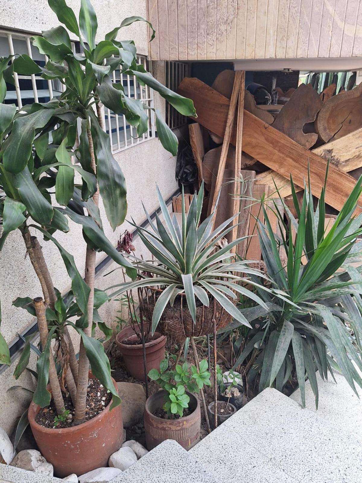Casa Babylon * Medellín